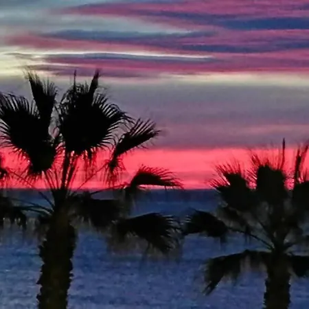 Rg78: Penthouse Downtown Lejlighed Torrevieja