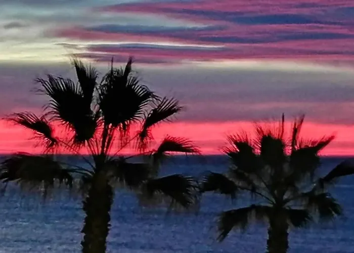 Rg78: Penthouse Downtown Lejlighed Torrevieja